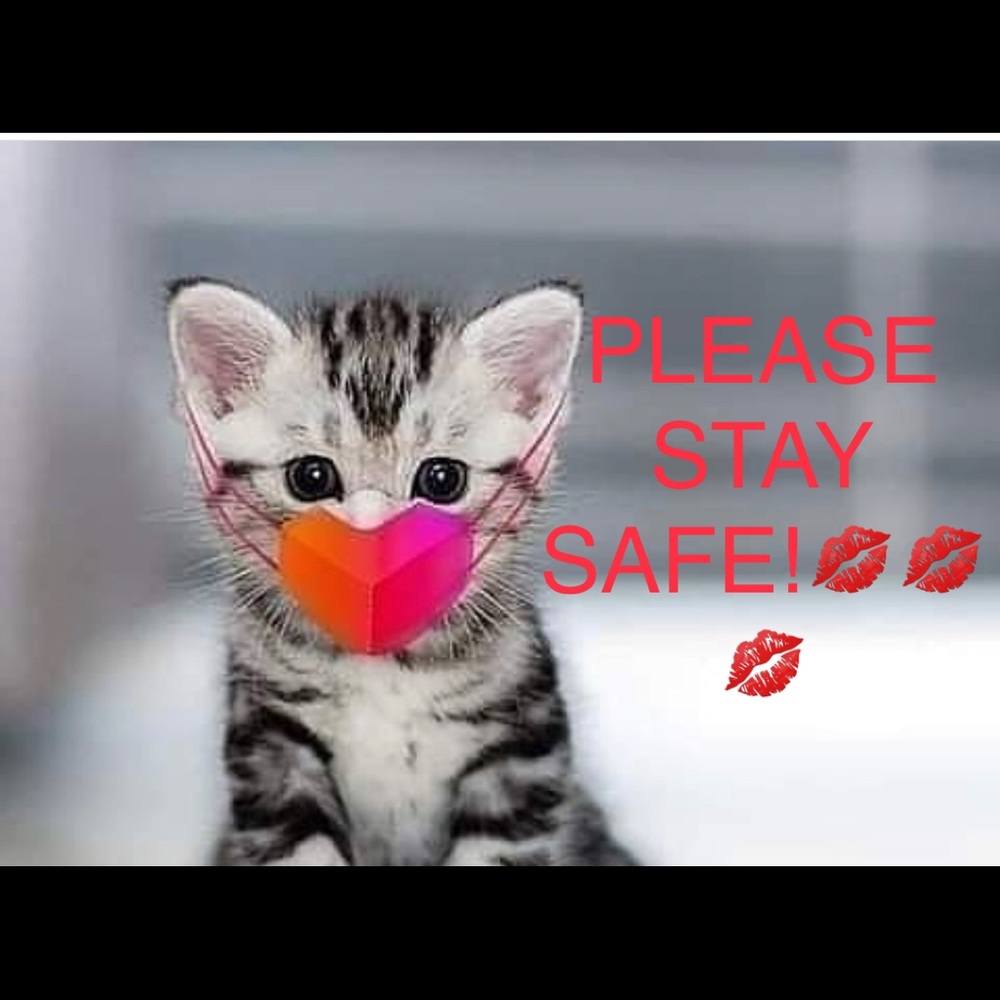 BUY NOW! MAJOR PRICE DROP (BUNDLE&SAVE) - Picture 9 of 11